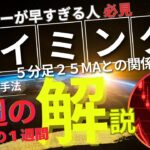 【FXエントリータイミング】エントリーのタイミングのMAの秘密！【2025 02 02 FXエントリータイミング動画】2