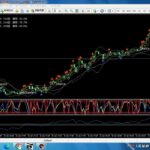 FX ポジポジ病を克服する方法 銘柄は一つに絞れ くだらないプライドを捨てよ 一時的に金を手放せ 250202