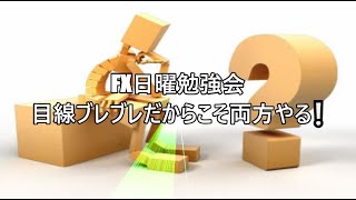 FX日曜勉強会 目線ブレブレだからこそ両方やる❕