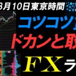 FXライブ配信スキャルピング★アメリカ雇用統計が軟調でドル円は下落して147円割れするもドル買い円売りで上昇！今週もトランプ関税発言に警戒！確定申告と税について。リアルタイムトレード実況！