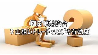 FX日曜勉強会　３山狙いトレード＆ヒゲの有効度