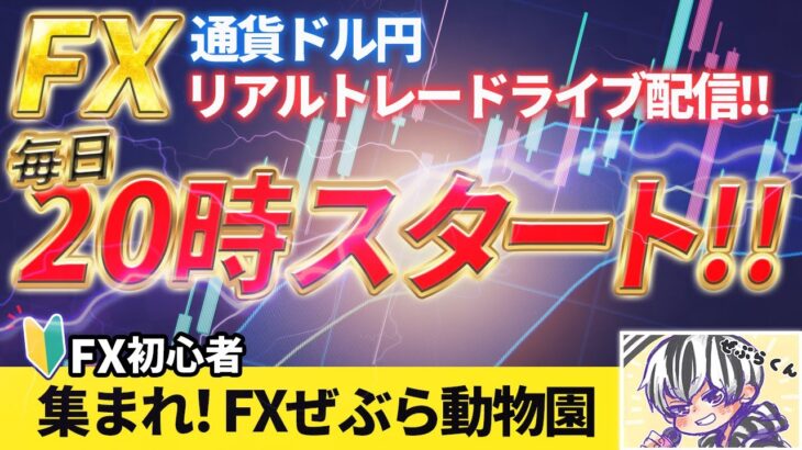 FXリアルトレード配信【ドル円】「初心者🔰FXぜぶら動物園」の開園です！！