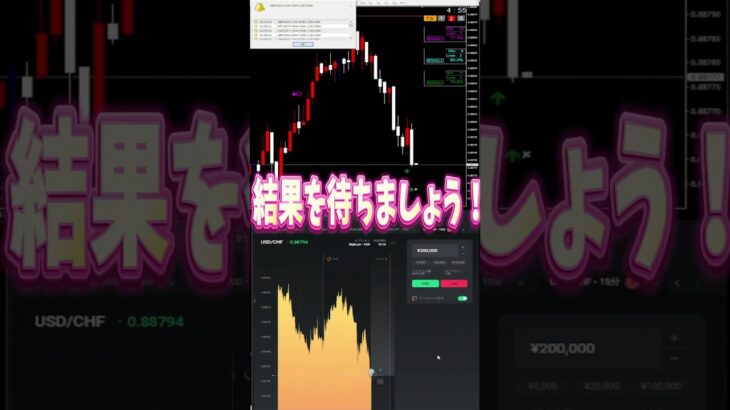 私はコレで楽してトレードしてます！#バイナリーオプション #ハイローオーストラリア#投資